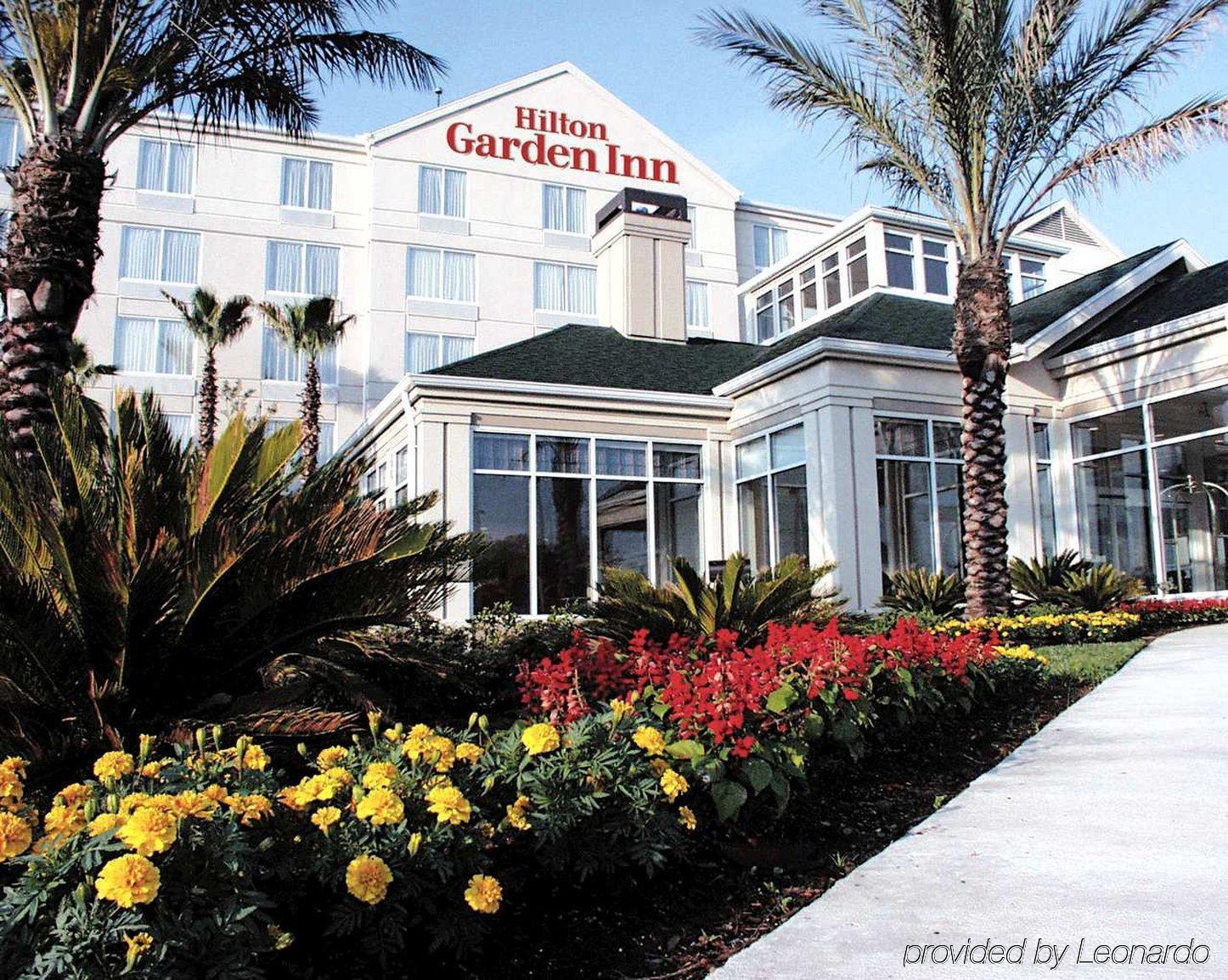 Hilton Garden Inn New Braunfels Exteriör bild