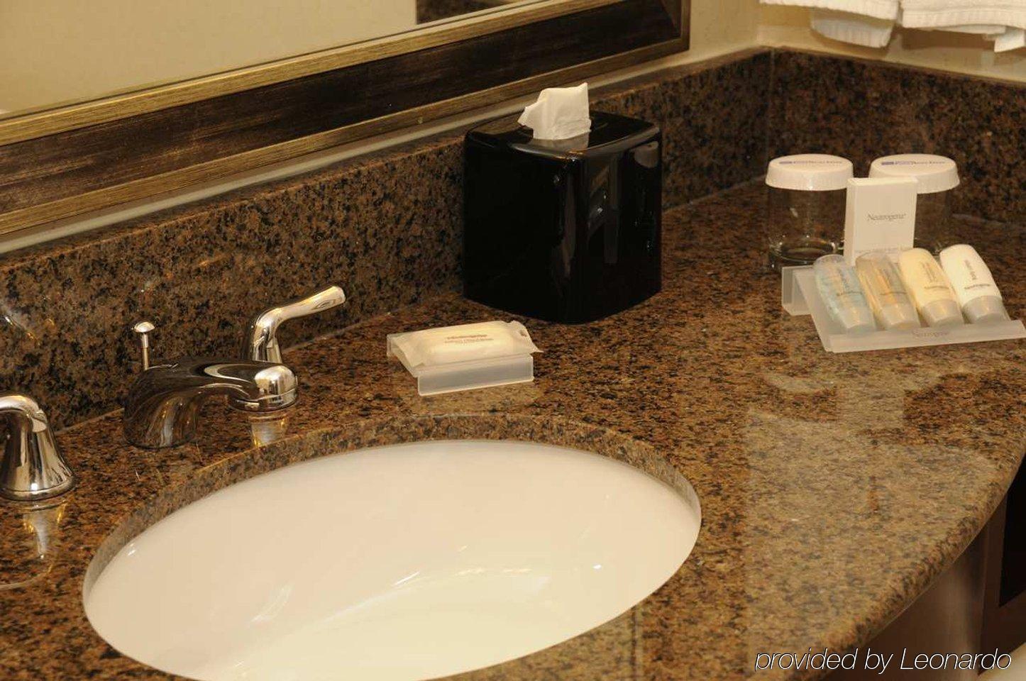 Hilton Garden Inn New Braunfels Rum bild